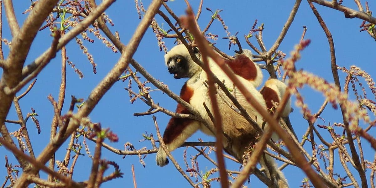 Croisière Nosy Be Madagascar